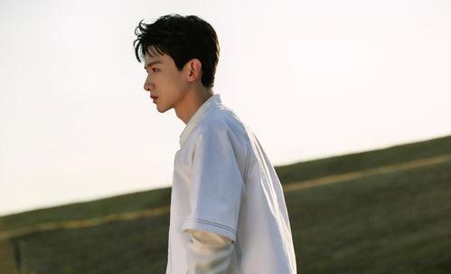 杨洋爆料罗云熙视频合集,视频合集大揭秘  第3张